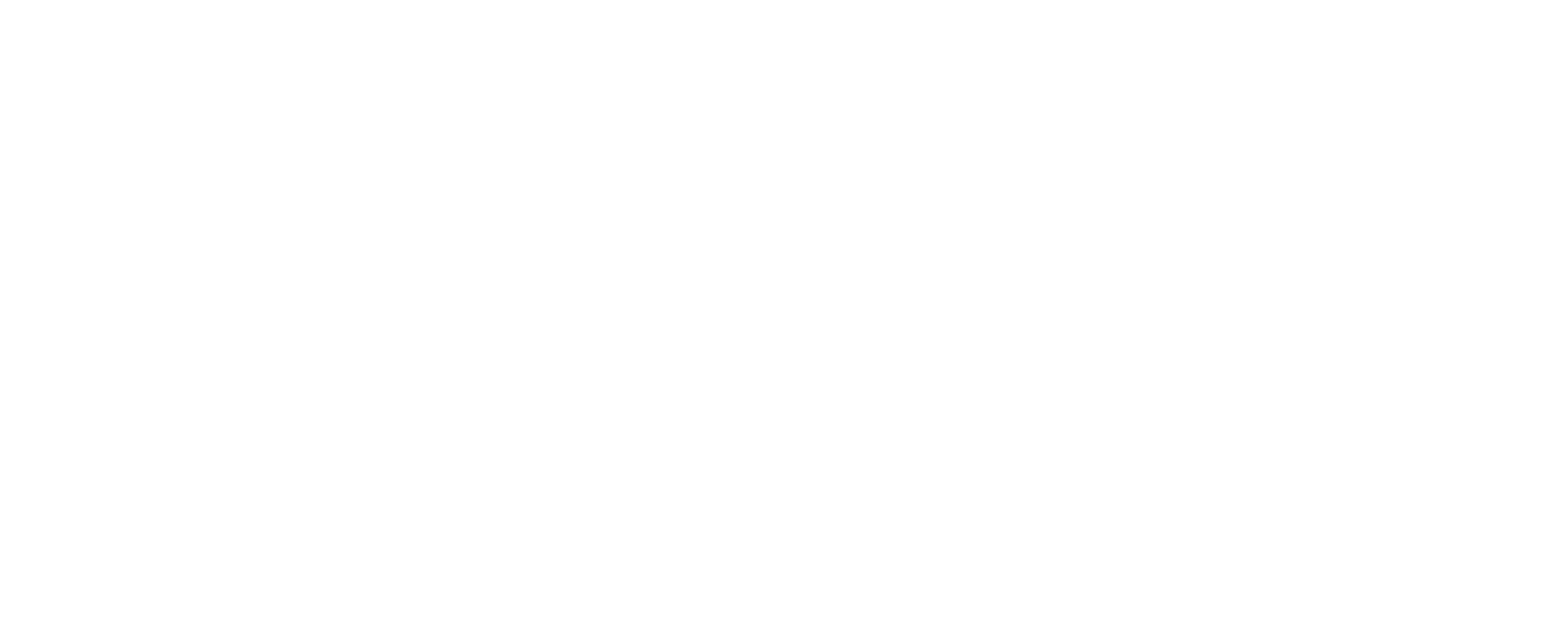 Zone 2 Sports Logo